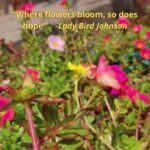 Where flowers bloom, so does hope. - Lady Bird Johnson